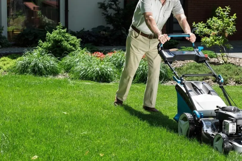 Can You Mow Wet Grass Menifee, CA