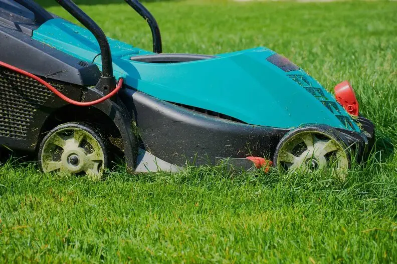 Can You Mow Wet Grass in Menifee, CA