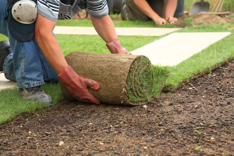 How Long After Installing Sod Can You Walk On It Menifee, CA