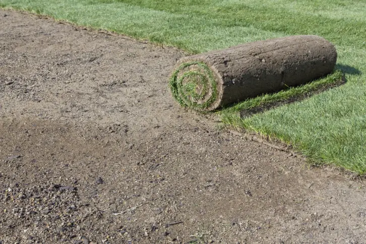 How Long After Installing Sod Can You Walk On It in Menifee, CA