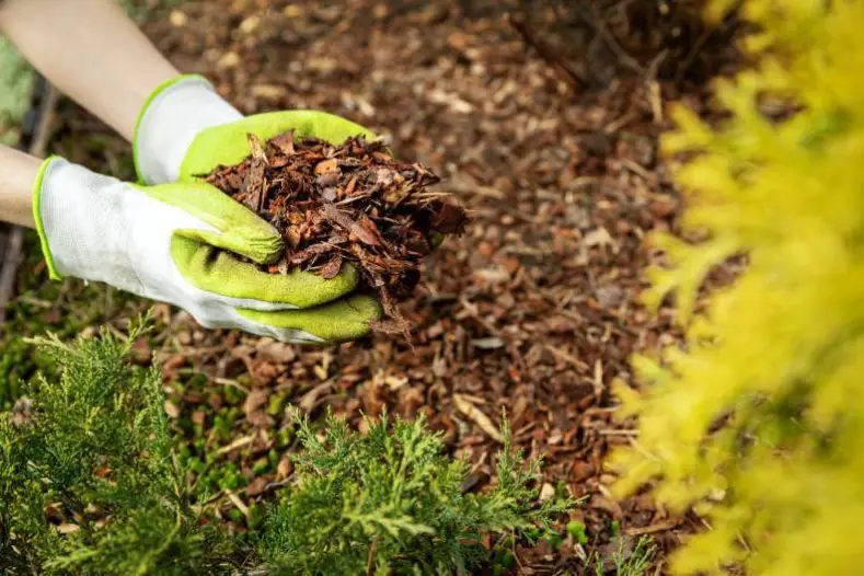 How Long Does Mulch Last Menifee, CA