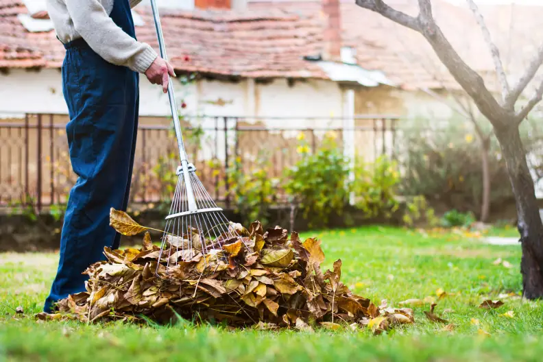 How To Clean A Backyard Menifee, CA