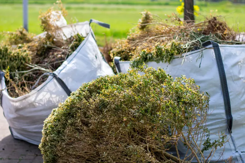 How to Clear a Yard Full of Weeds Menifee, CA