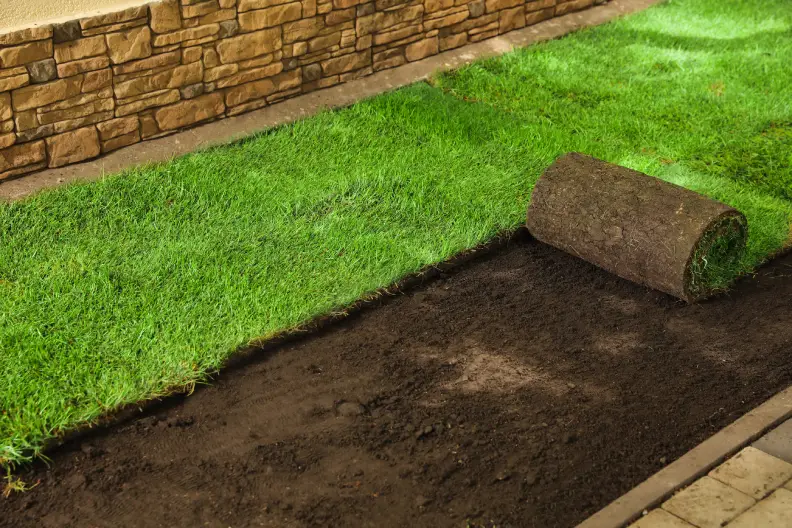 How to Lay Sod Over Existing Lawn in Menifee, CA