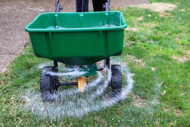 How Often Should You Fertilize Your Lawn in Menifee, CA