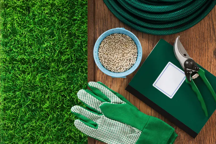 Lawn Fertilization in Menifee, CA - Landscaper