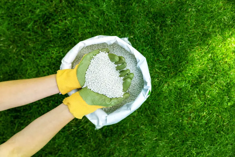 Lawn Fertilization in Menifee, CA