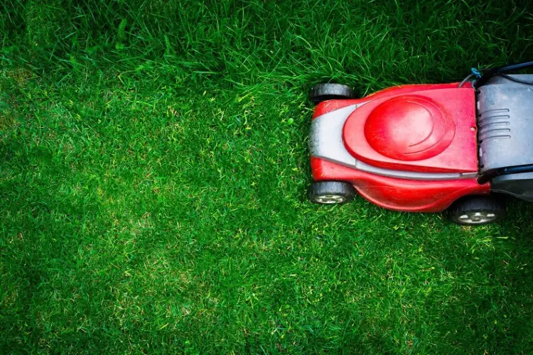 Lawn Mowing Menifee, CA