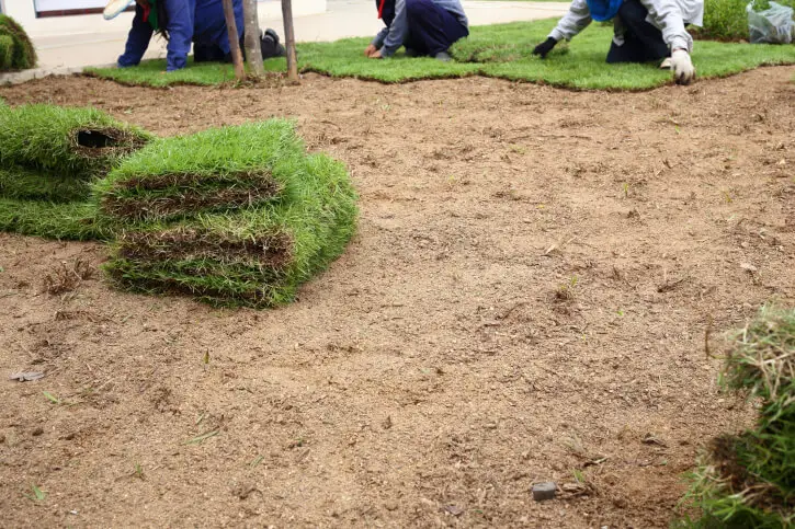 Sod Installation Menifee, CA