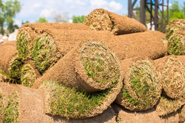 Sod Installation in Menifee, CA