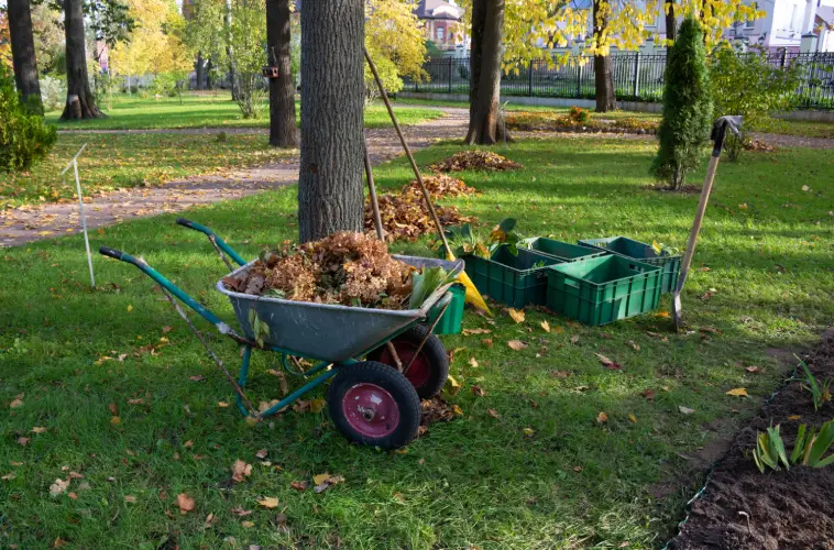 Yard Cleanup Menifee, CA