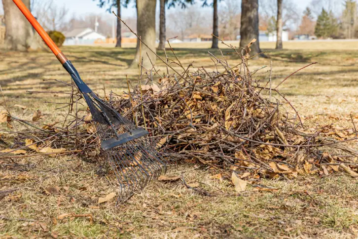 Yard Cleanup in Menifee, CA