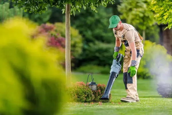 Yard Cleanup